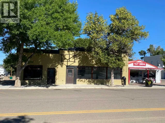 165 Centre Street, Tilley, Alberta T0J3K0