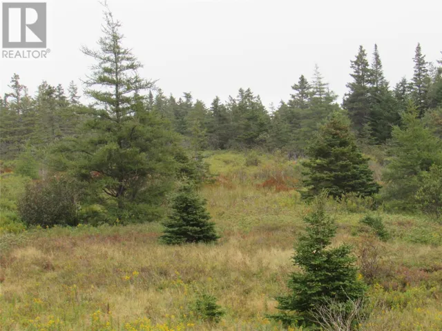 16 Old Road Extension, Colliers, Newfoundland & Labrador A0A1Y0