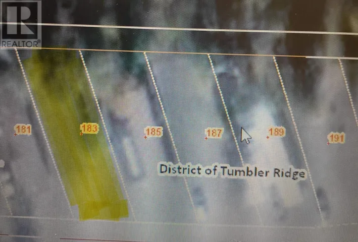 183 Steeprock Close, Tumbler Ridge, British Columbia V0C2W0