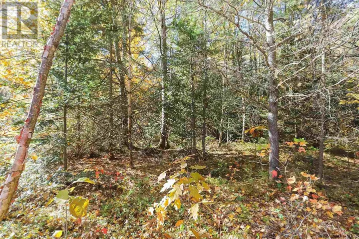 Lot 17 Nokomis Beach RD, Sault Ste. Marie, Ontario P6A5K6