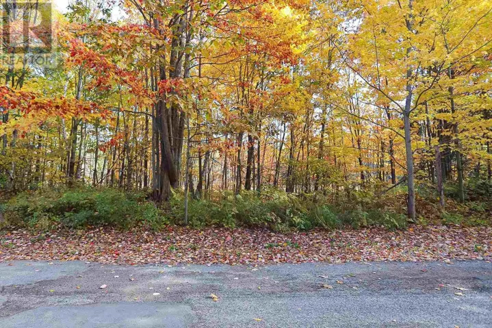 Lot 19 Nokomis Beach RD, Sault Ste. Marie, Ontario P6A5K6