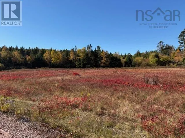 100 Acres Spencers Beach (Hwy 209) Road, Spencers Island, Nova Scotia B0M1S0