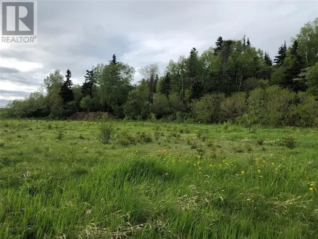 LOT#2-6 UPPER TRANQUIL WATERS Road, REIDVILLE, Newfoundland & Labrador A8A1Z4