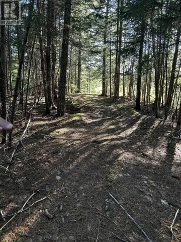 Unit 3 FORSYTHE ROAD SOUTH Road, White Rock, Nova Scotia B4P2R2