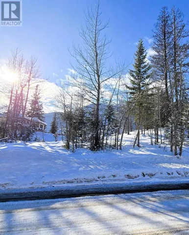 51 CARIBOO Drive, Elkford, British Columbia V0B1H0