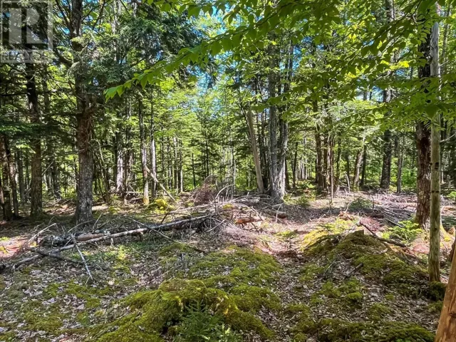 Lot 1000-2 Conquerall Road, Conquerall Bank, Nova Scotia B0R1G0