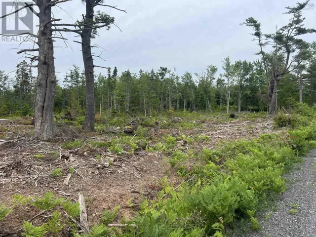 2 Priests Road, Central Caribou, Nova Scotia B0K1H0