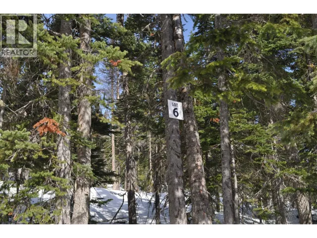 Pr. St Lt 6 ALPINE WAY, Smithers, British Columbia V0J2N0