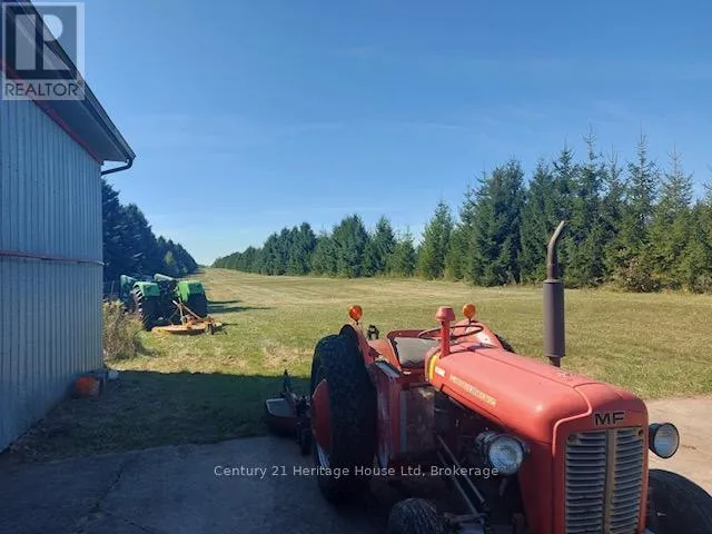 780