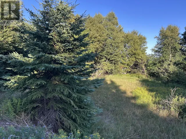 Parcels A & B Main Road, Victoria Cove, Newfoundland & Labrador A0G4N0