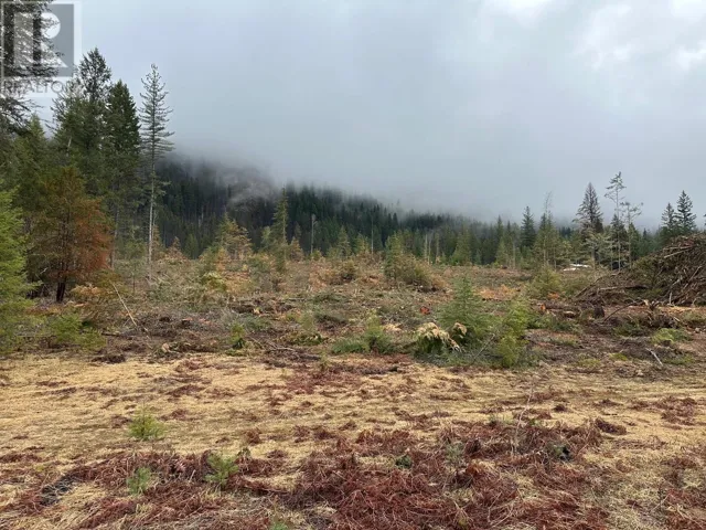 Lot C Lancaster Road, Winlaw, British Columbia V0G2J0