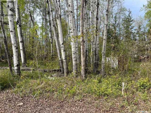 448 Cougar ROAD, Marean Lake, Saskatchewan S0E1H0