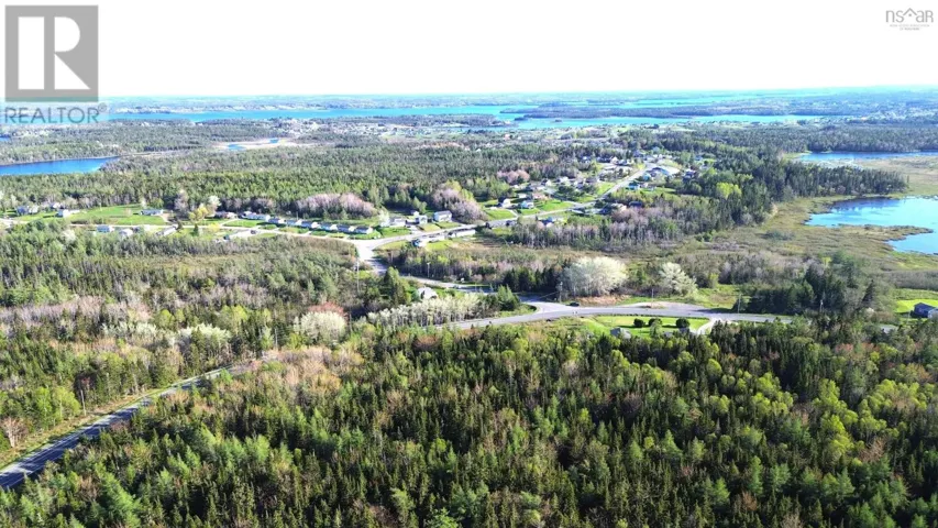 4 Old Trail, Old Trunk 4