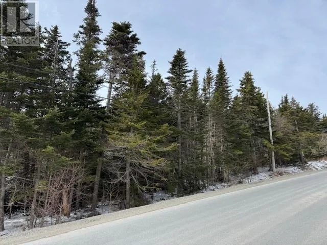 0 Saddle Hill, Carbonear, Newfoundland & Labrador A1Y1A2