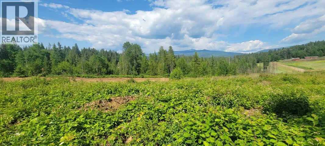 DL 2620 YELLOWHEAD Highway Unit# LOT 1, Clearwater, British Columbia V0E1N1