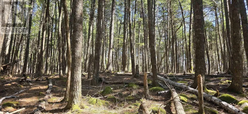Lot 3 Beaver Row, Labelle, Nova Scotia B0T1E0