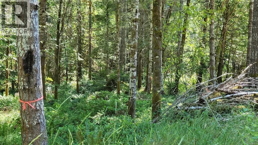 Lot 3 Cowichan Lake Rd, Duncan, British Columbia V9L6H3