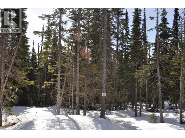 Pr. St Lt 13 ALPINE WAY, Smithers, British Columbia V0J2N0