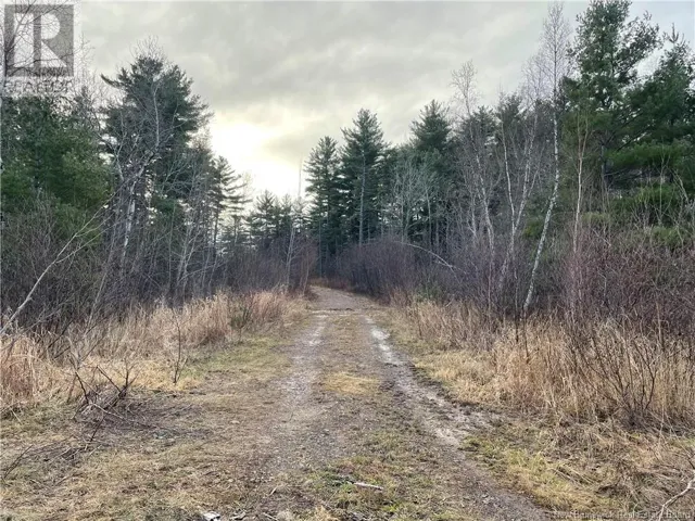 Route 105, Youngs Cove, New Brunswick E4C2C2