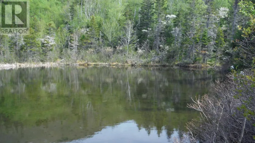 Chemin Du Lac Road, Grand Étang, Nova Scotia B0E1H0