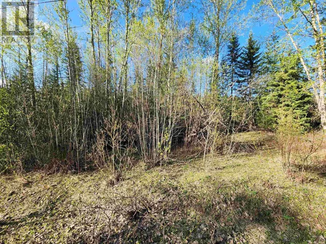 LOT 13 MEADOWVIEW ROAD, Prince George, British Columbia V2K5V5