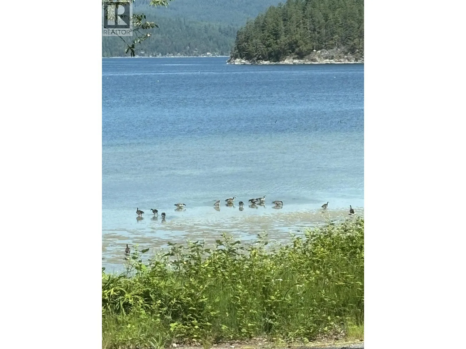 Commercial Sale For Sale