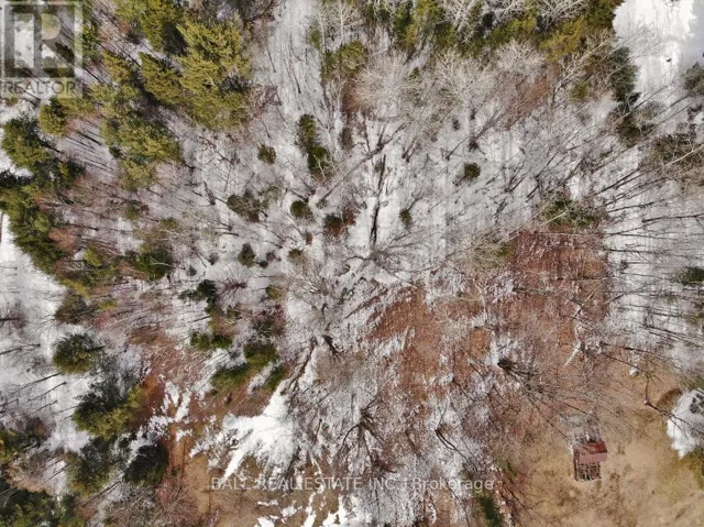 0 UNOPENED ROAD ALLOWANCE, Faraday, Ontario K0L1C0