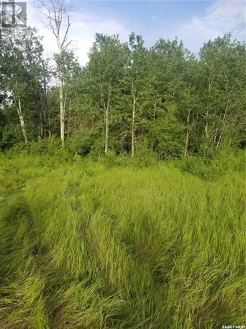 Hurl Land, Canwood Rm No. 494, Saskatchewan S0J2G0