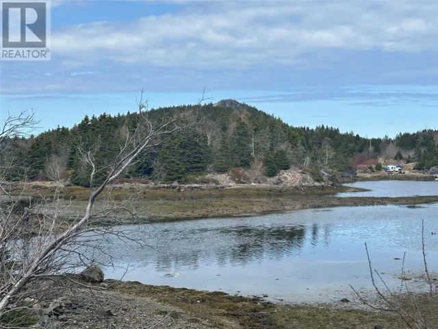 12-16 Back Cove Road, Avondale, Newfoundland & Labrador A0A1B0