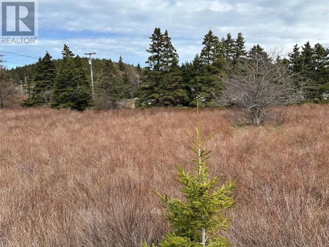 178-208 Conception Bay Highway, Avondale, Newfoundland & Labrador A0A1B0