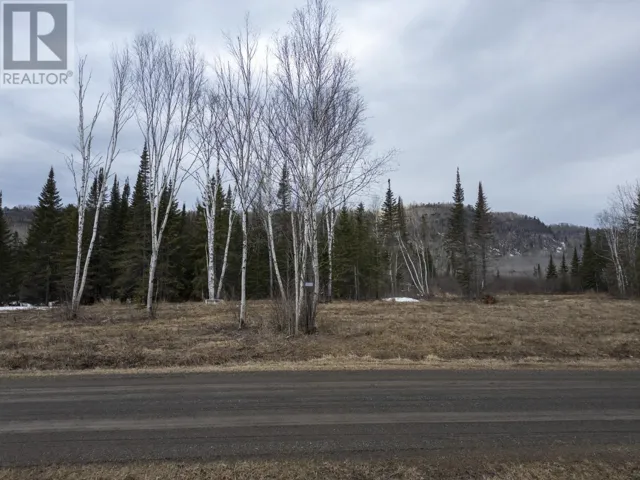 0 Milne RD, Neebing, Ontario P7L0A9