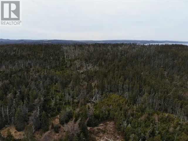 76 - 84 Conception Bay Highway, Holyrood, Newfoundland & Labrador A0A2R0