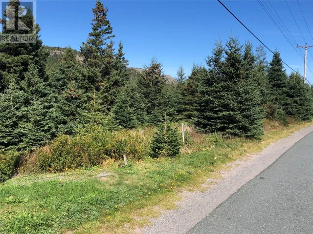 143 - 145 Seaforest Drive, Cupids, Newfoundland & Labrador A0A2B0