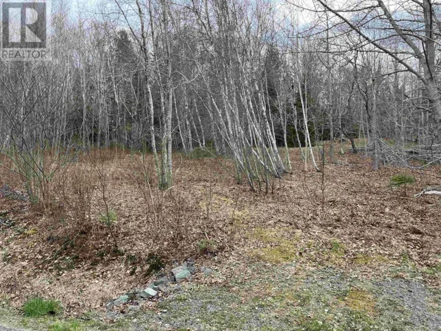 Lot 2 Sarty Road, Camperdown, Nova Scotia B4V0X6