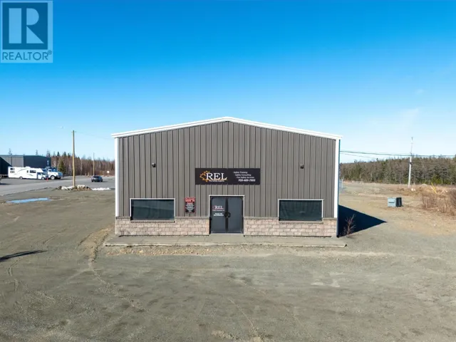 72 Hardy Avenue, Grand Falls- Windsor, Newfoundland & Labrador A2A2P8