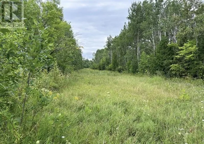 Lot 31 Cardwell Street, Manitowaning, Manitoulin Island, Ontario P0P1N0