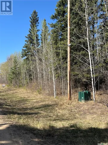 6 Buckingham TRAIL, Big River Rm No. 555, Saskatchewan S0J0E0