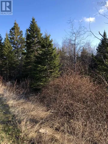 Lots 14 & 15 Highview & Clough Ave, Port Hastings, Nova Scotia B9A1K8