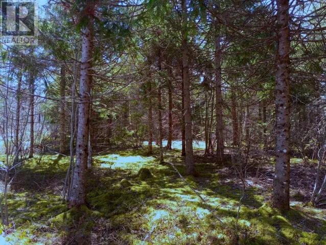 12 Jonny Cash Lane, Juniper Mountain, Nova Scotia B1K0C2