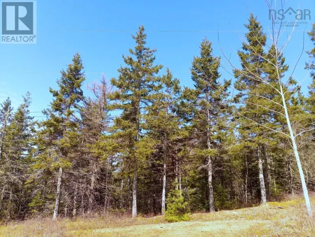 13 Jonny Cash Lane, Juniper Mountain, Nova Scotia B1K0C2
