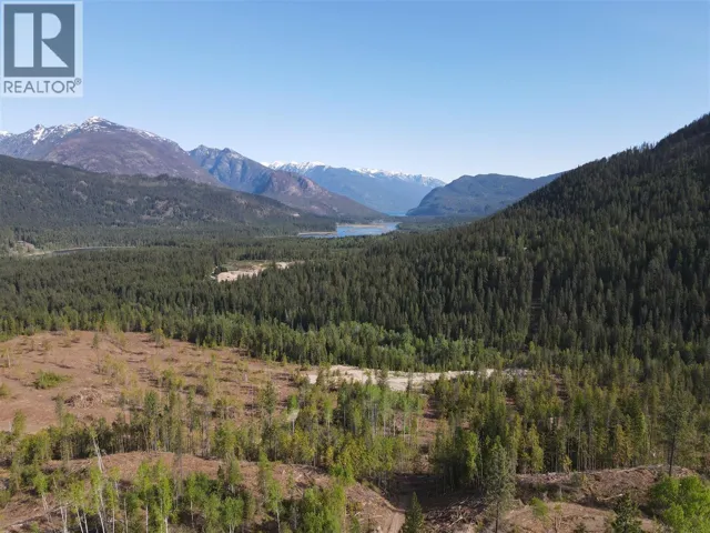 7928 Lemon Creek Road, Slocan, British Columbia V0G2C0