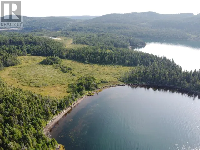 01 NORTHWEST ARM, 239 Route
