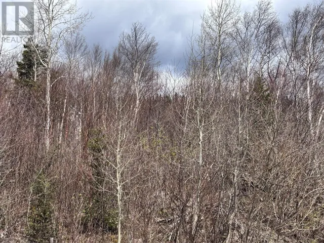 Lot 5 Glenview Estates Extension, Clarenville, Newfoundland & Labrador A5A4H1