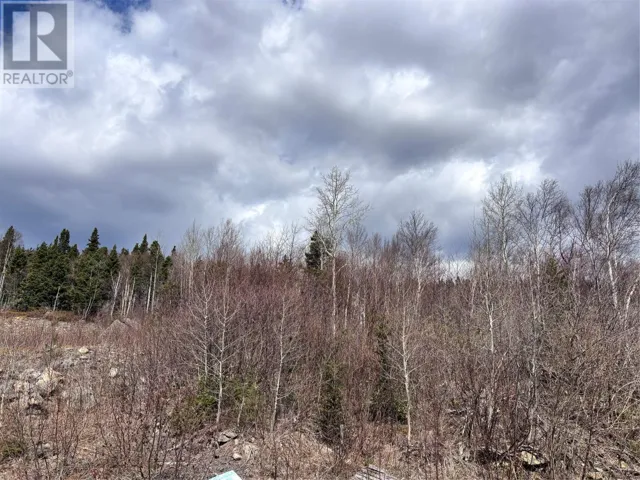 Lot 1 Glenview Estates Extension, Clarenville, Newfoundland & Labrador A5A4H1