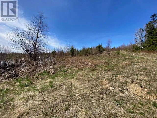 15 Brakes Lane, Meadows, Newfoundland & Labrador A2H6B9