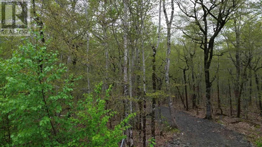 Lot 46 Turner Point Road, Walden, Nova Scotia B0J2E0