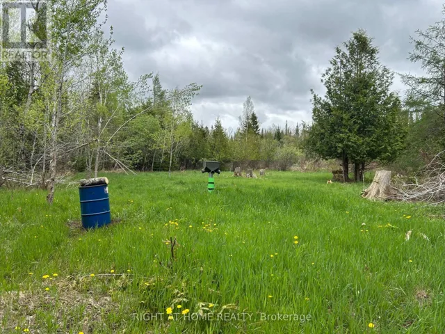 0 MOUNT HOREB ROAD, Kawartha Lakes (Manvers), Ontario K0L2K0