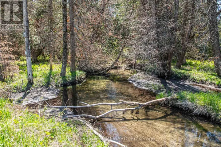 P/L35 CON 5 BULL ROAD, Alnwick/Haldimand, Ontario K0K1C0