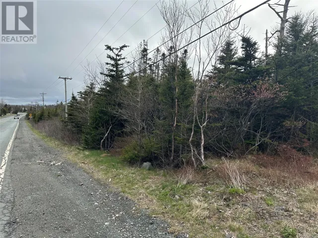 138 - 146 Conception Bay Highway, Holyrood, Newfoundland & Labrador A0A2R0