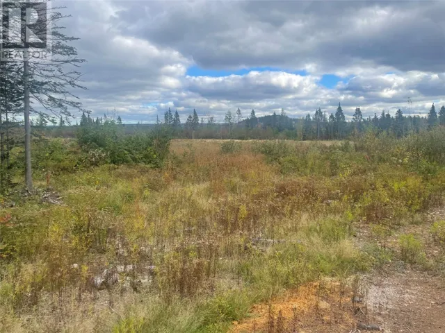 136333 Peter's Pond, Botwood, Newfoundland & Labrador A0H1E0